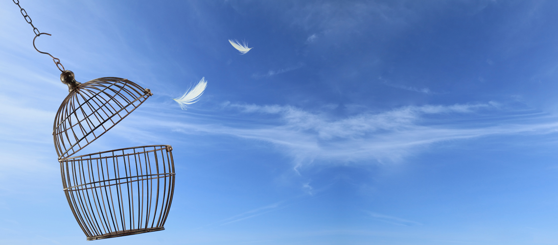 Fikri ve Sinai Haklar Hukuku